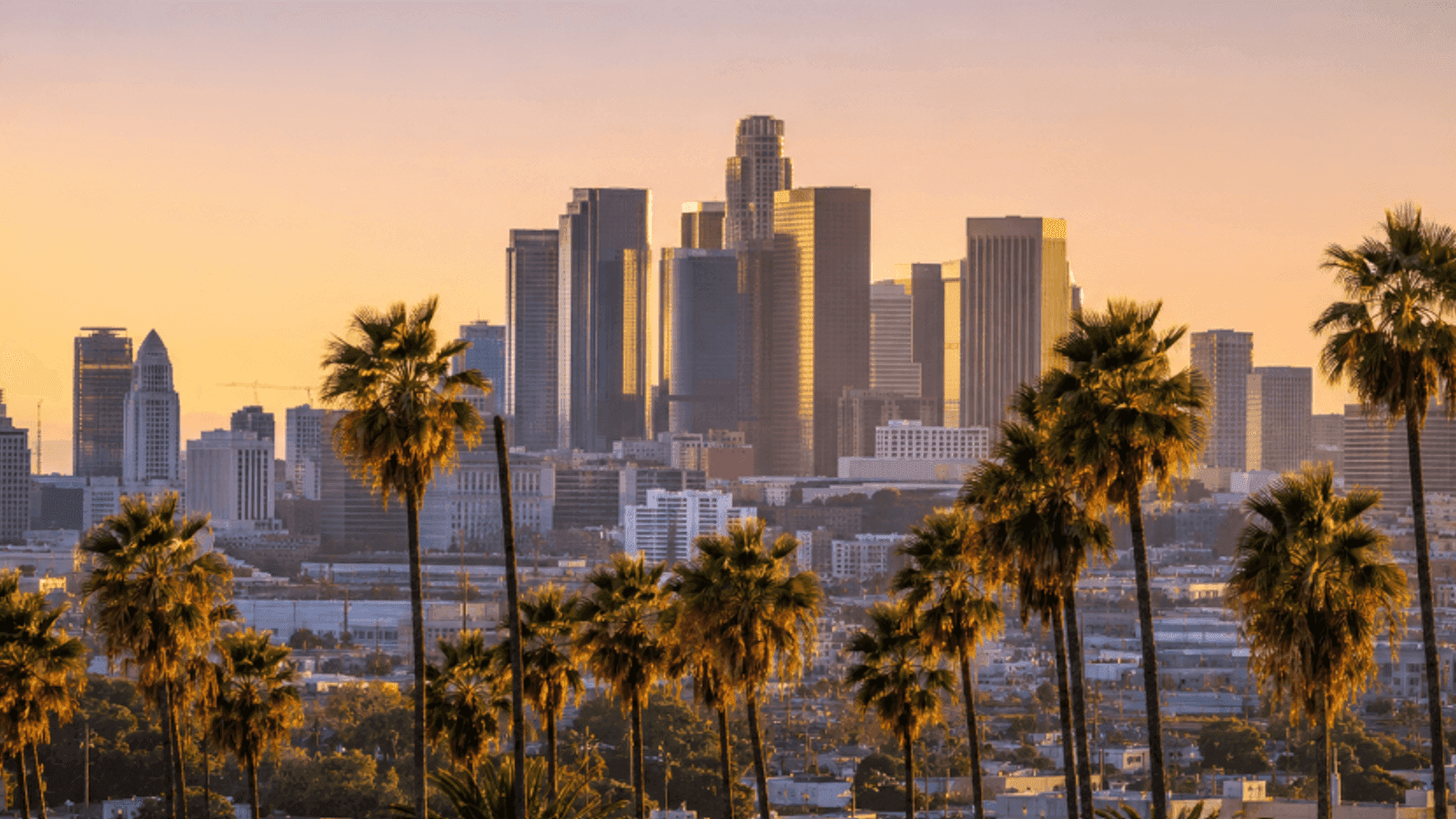 Downtown Los Angeles skyline at golden hour with palm trees in the foreground